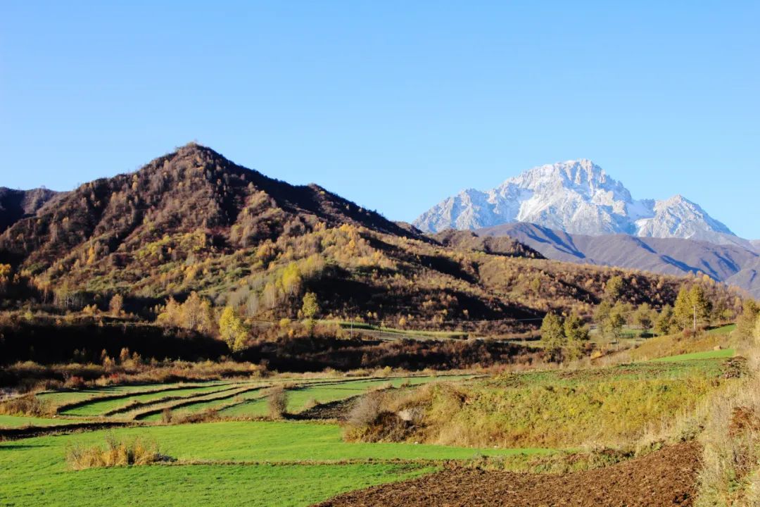太子山的由来2.jpg