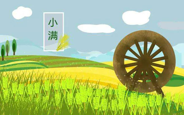 小满4.png