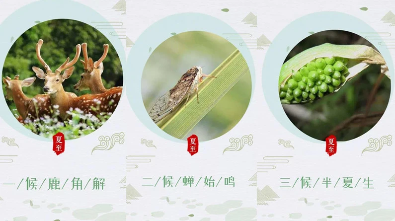 夏至2.png