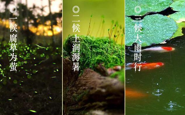 大暑2.png