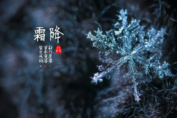 霜降1.png
