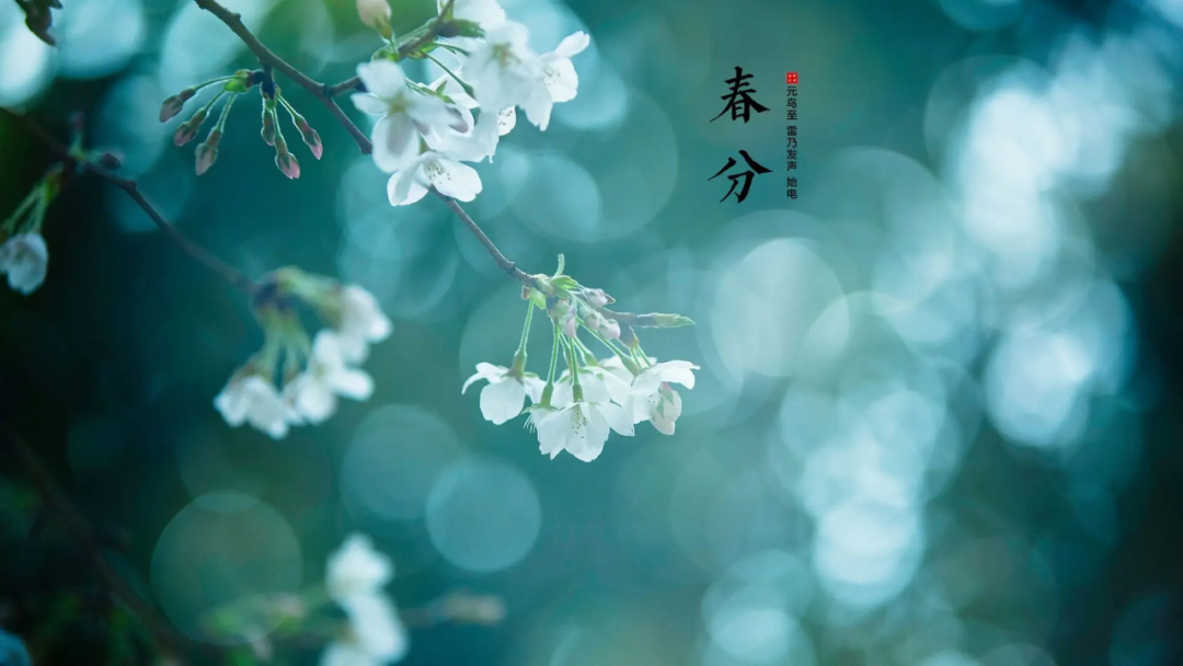 简介.png