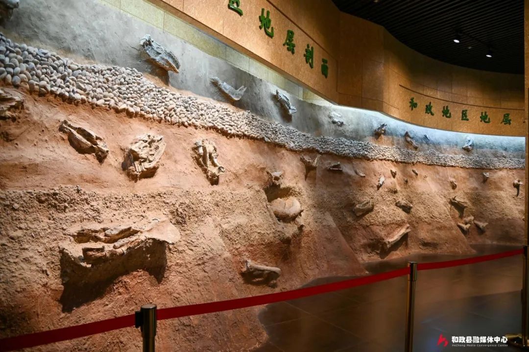 问苍茫大地5.jpg