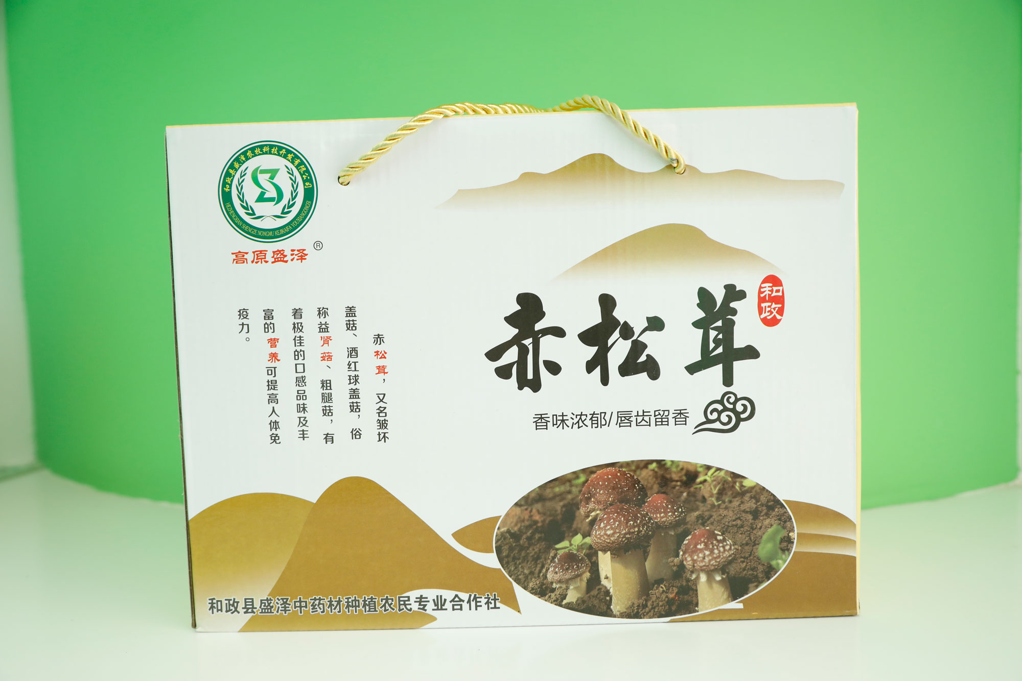 和政非遗特产：赤松茸