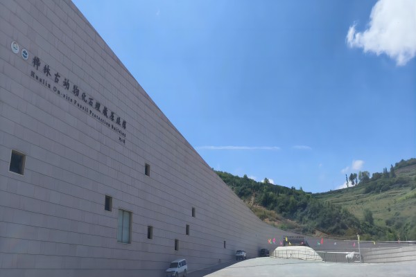 桦林古动物化石埋藏原址馆