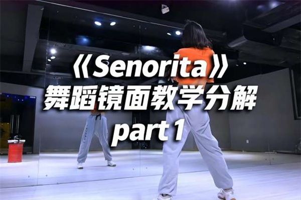 Lisa版《Senorita》舞蹈镜面分解教学
