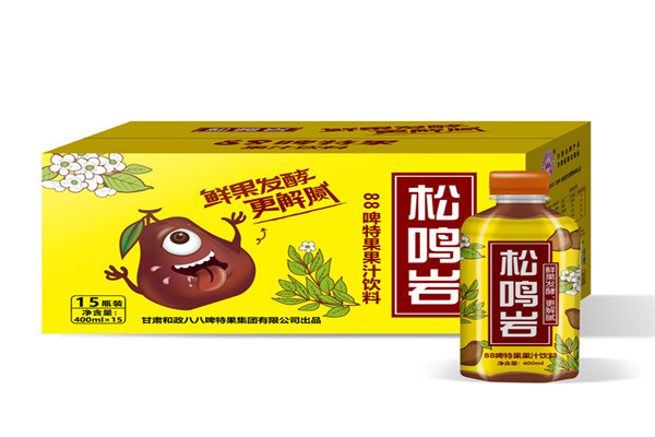 和政—松鸣岩啤特果汁