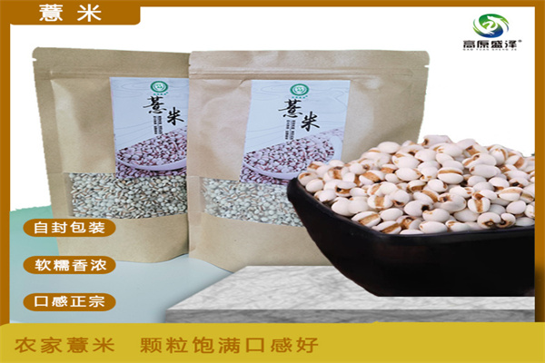 和政—精选薏米