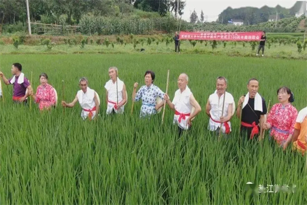 和政农事活动歌谣