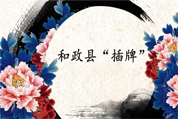 和政县“插牌”