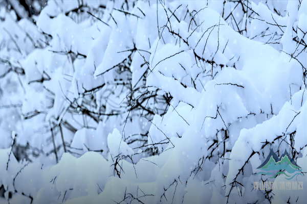 冰雪和政